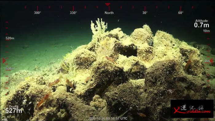 澳大利亚东北海岸大堡礁发现500米高珊瑚礁 高度超过帝国大厦