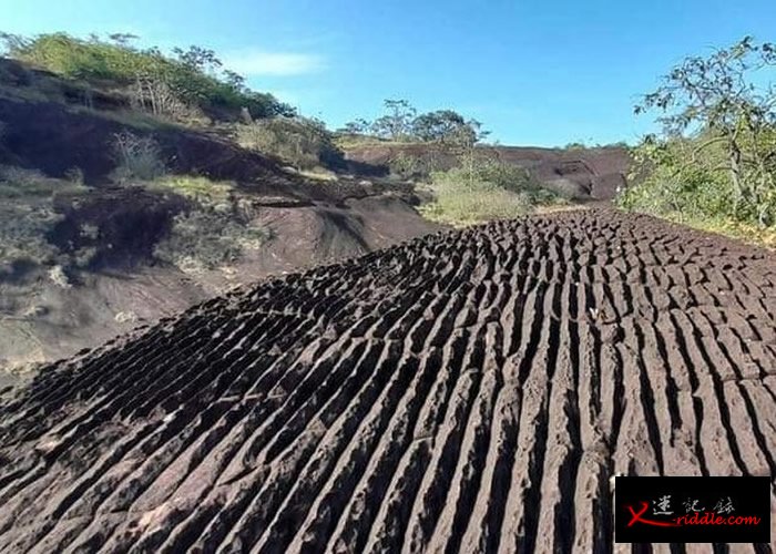 泰国汶甘府的普沃野生动物保护区发现大片地质奇观 石纹形似洗衣板