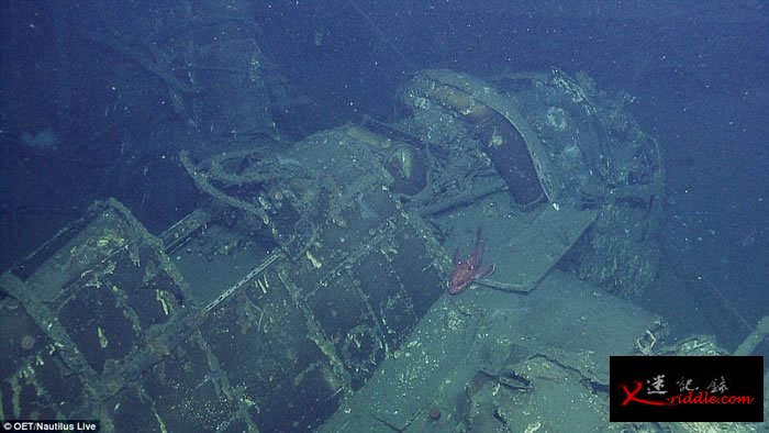 美国加州外海发现独立号航空母舰（USS Independence CVL-22）残骸