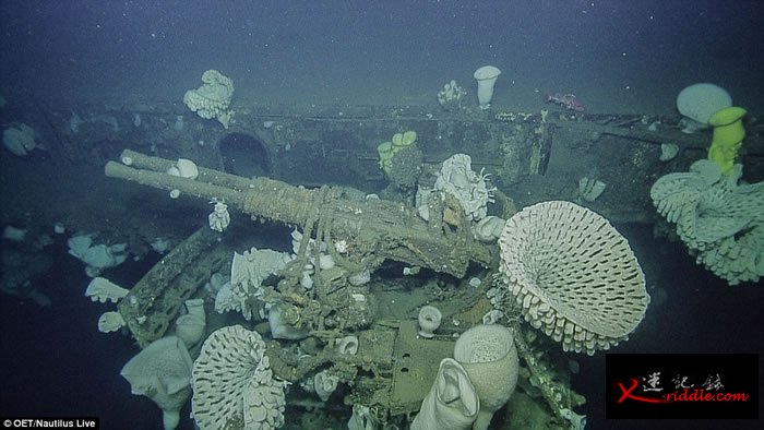 美国加州外海发现独立号航空母舰（USS Independence CVL-22）残骸