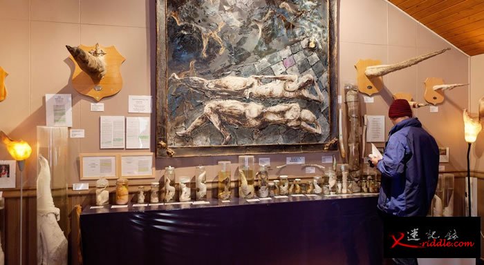 雄性生殖器官博物馆展示了超过215个阴茎和雄性生殖器官，来自各种陆地与海洋生物。 PHOTOGRAPH BY ARCTIC IMAGES/ALAMY STOCK