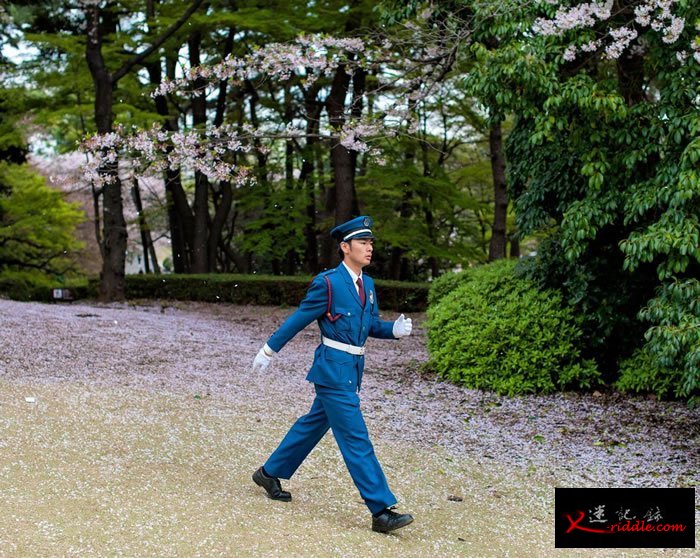 一位新宿御苑的警卫正在巡逻。新宿御苑内禁止吸烟喝酒，警卫负责确保民众遵守规定。 Photograph by Albert Bonsfills