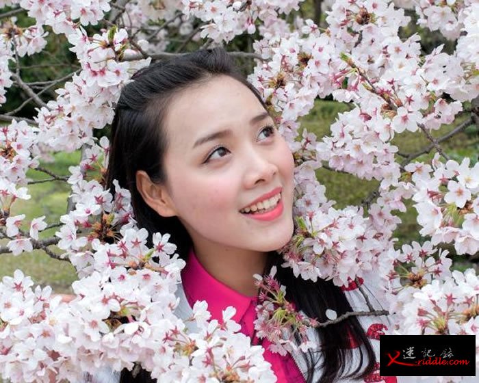 一位中国游客在樱花丛中照相，地点在千鸟渊，东京皇居西北侧的护城河。 Photograph by Albert Bonsfills