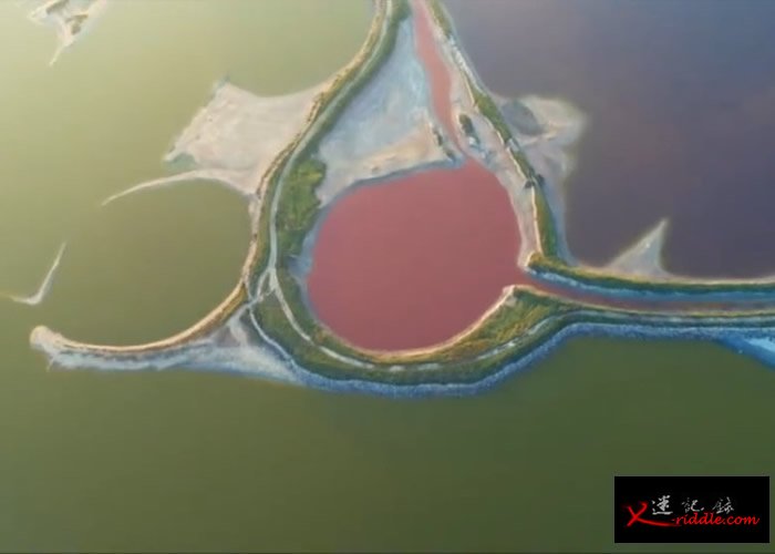 网民赞美盐湖有“不加雕琢的美丽”。