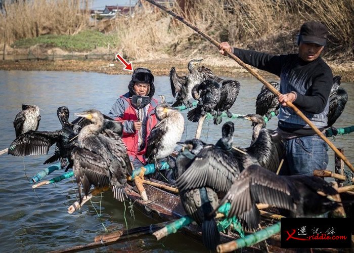 王海（箭头示）约2年前开始进行捕鱼直播。