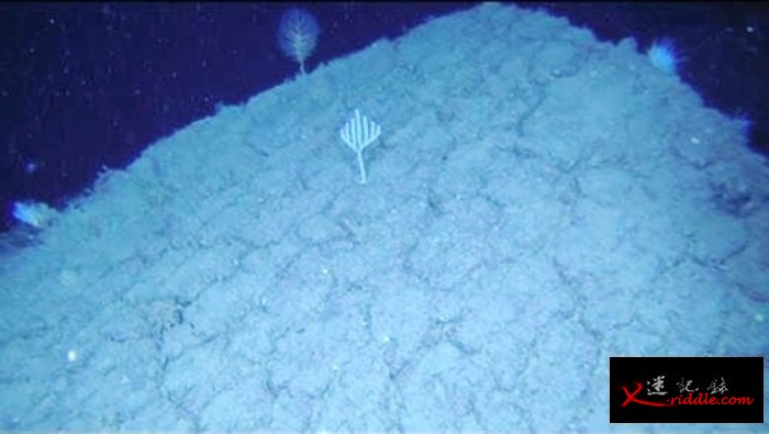 神户大学研究团队于海底拍摄到被海水冷却的溶岩。