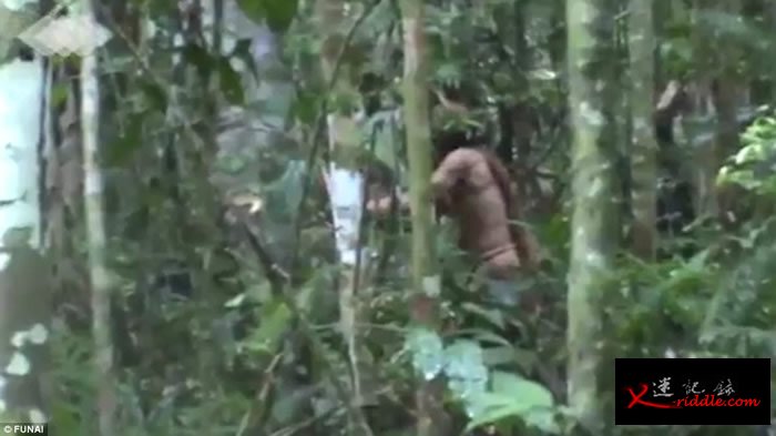 巴西亚马逊森林部族20年前险被灭族 最后1名男土著被拍到在砍树