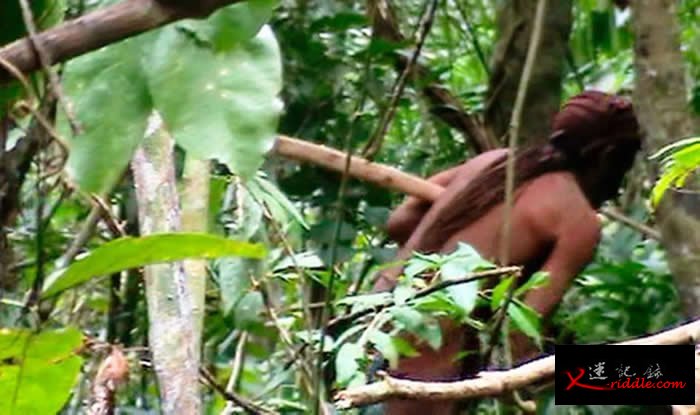 巴西朗多尼亚州（Rondônia）塔纳鲁原住民保留地（Tanaru Indigenous Land）内「孤独幸存者」稍纵即逝的身影。 COURTES