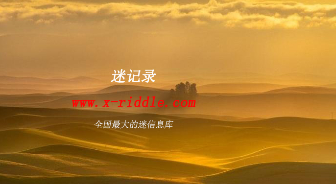 迷记录