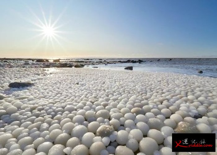 芬兰北部海卢奥托岛海滩布满神秘白色圆形“异形蛋” 专家指为罕见自然现象“冰球”