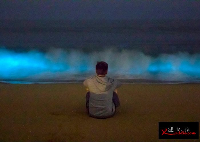 美国摄影师拍到加州纽波特港海滩出现藻类触发的生物发光现象——蓝光