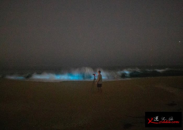 美国摄影师拍到加州纽波特港海滩出现藻类触发的生物发光现象——蓝光
