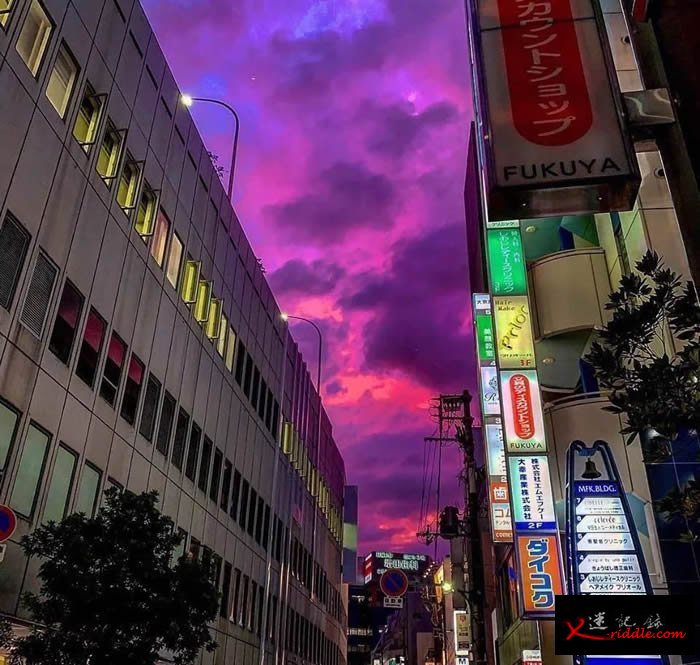 天空变紫色是什么征兆？台风哈吉贝登陆 日本多地天空变紫色