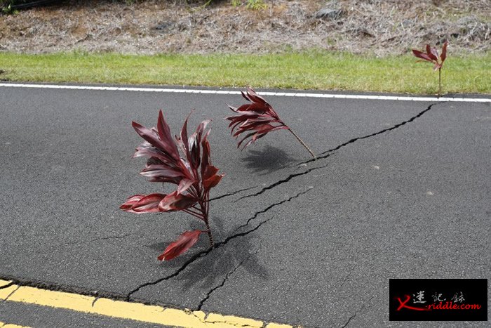 美国夏威夷岛基拉韦厄火山持续喷发
