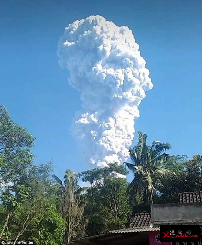 印尼爪哇岛大学生正在山下露营 默拉皮火山突然爆发