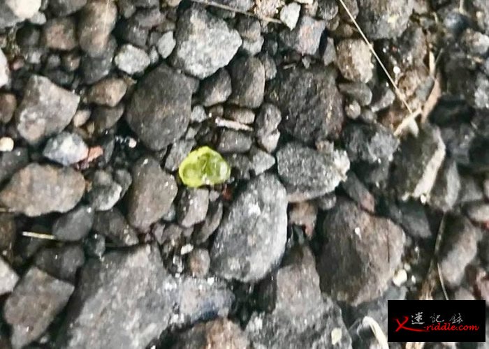 居民在火山附近发现“绿宝石”。