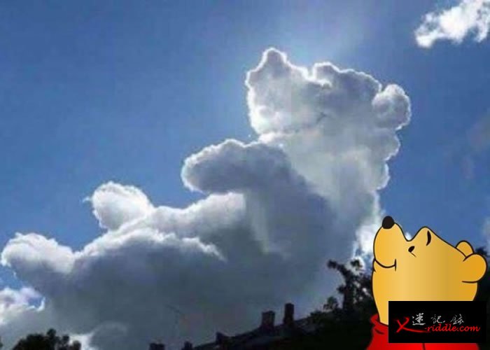 英国多塞特郡慈善活动天空现“维尼云”