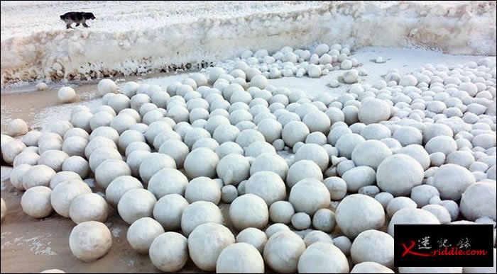 俄罗斯西伯利亚地区突然出现一大批神秘圆形雪球