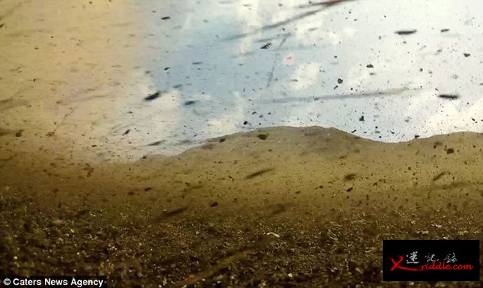 大洋洲国家瓦努阿图龙卷风席卷露营胜地马鲁姆火山口