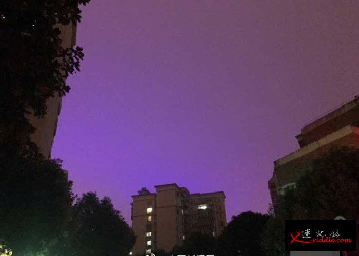 南京城仿佛披上了一层紫色的光晕。