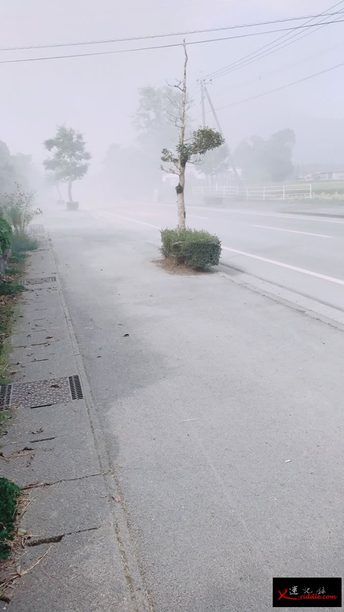 有火山灰落在附近城市。