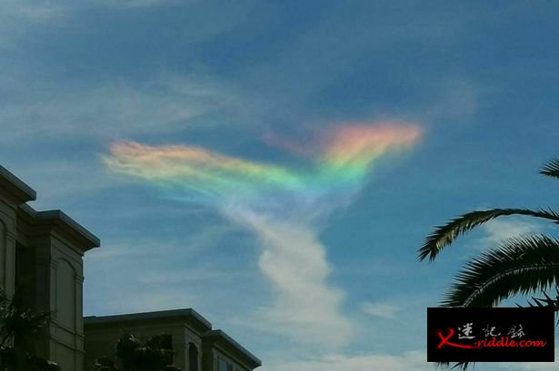 美国南卡罗来纳州棕榈岛天空出现称为“环地平弧”的“火彩虹”