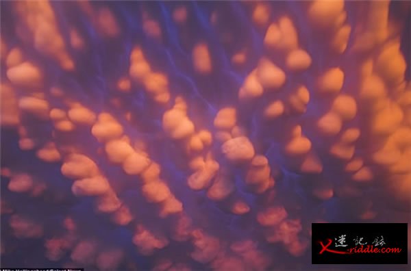 《漂浮的“乳房”》