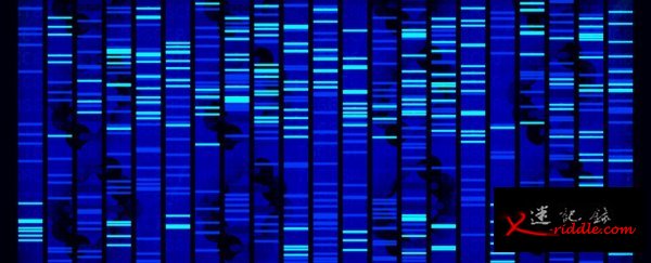 瑞士科学家成功识别“衰老基因”