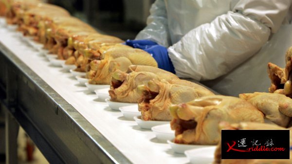 食用动物大量消耗抗生素，人类恐面临无药可吃