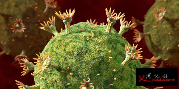 AIDS 走向世界的秘诀：审时度势