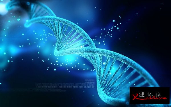 在DNA中存储文件，保质期可达二千年