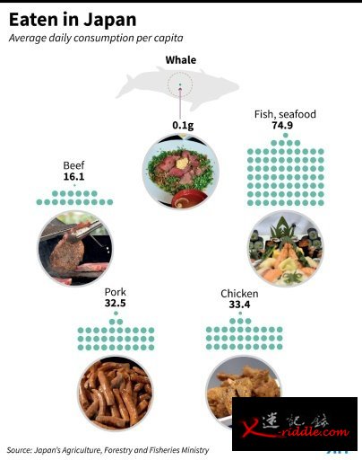 东京试图用鲸肉招揽外国游客